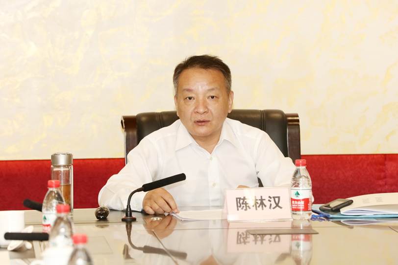 说明: D:\李子丹\新闻和照片\2019\学术\11.8365英国上市公司\陈林汉.JPG